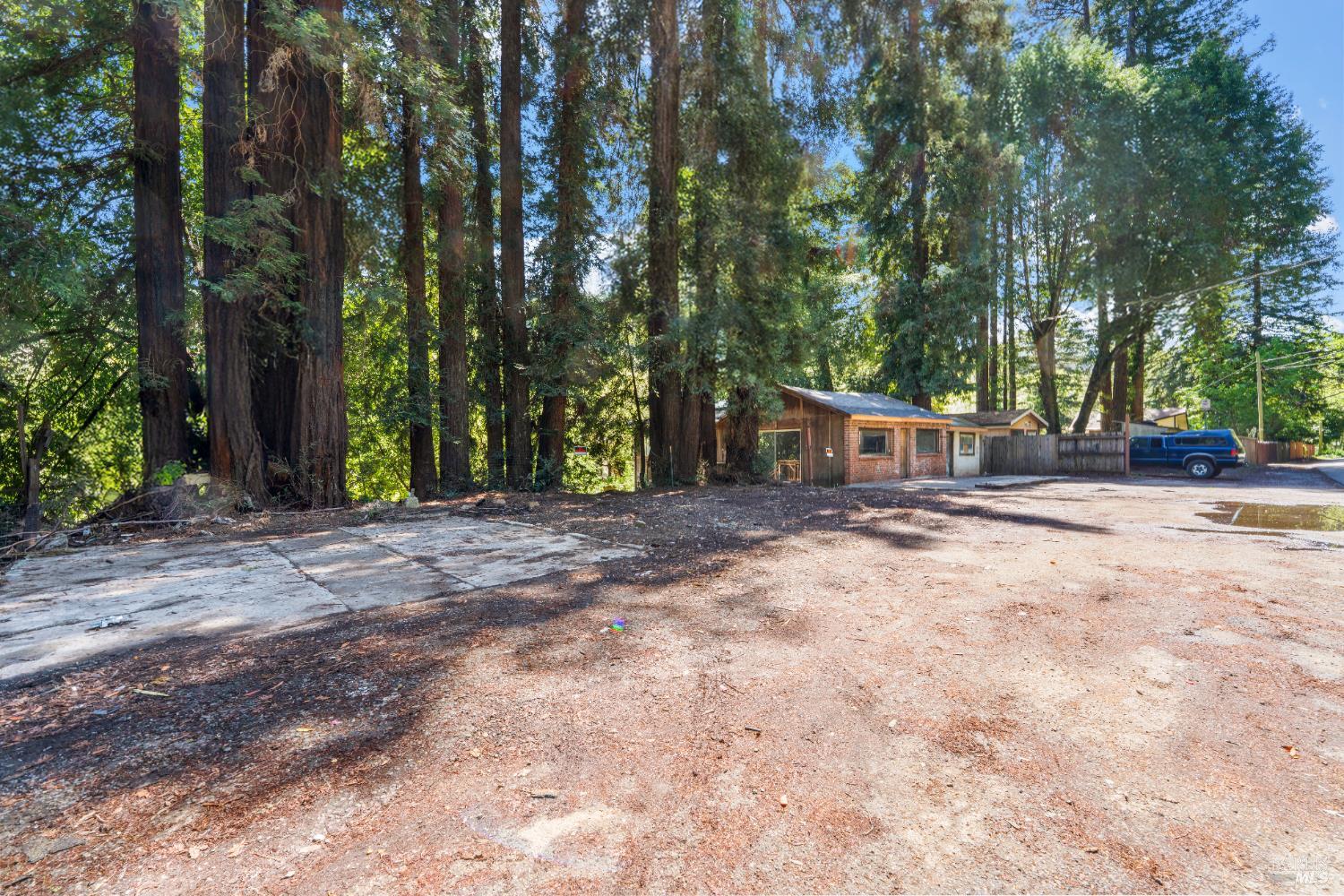10991 River Road Forestville, CA 95436 - Photo 6 of 20 a backyard of a house with lots of green space