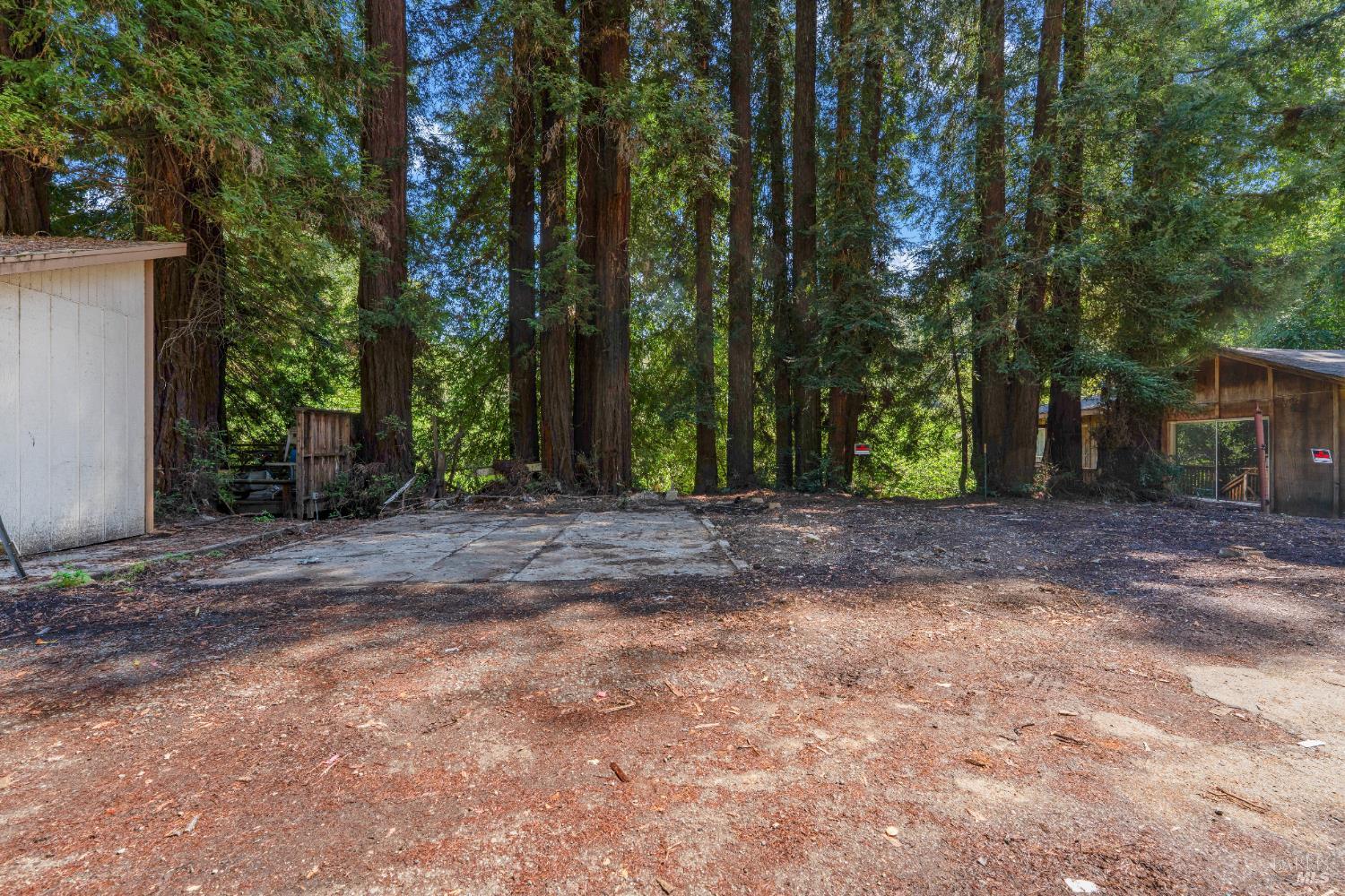 10991 River Road Forestville, CA 95436 - Photo 7 of 20 a view of outdoor space and tree