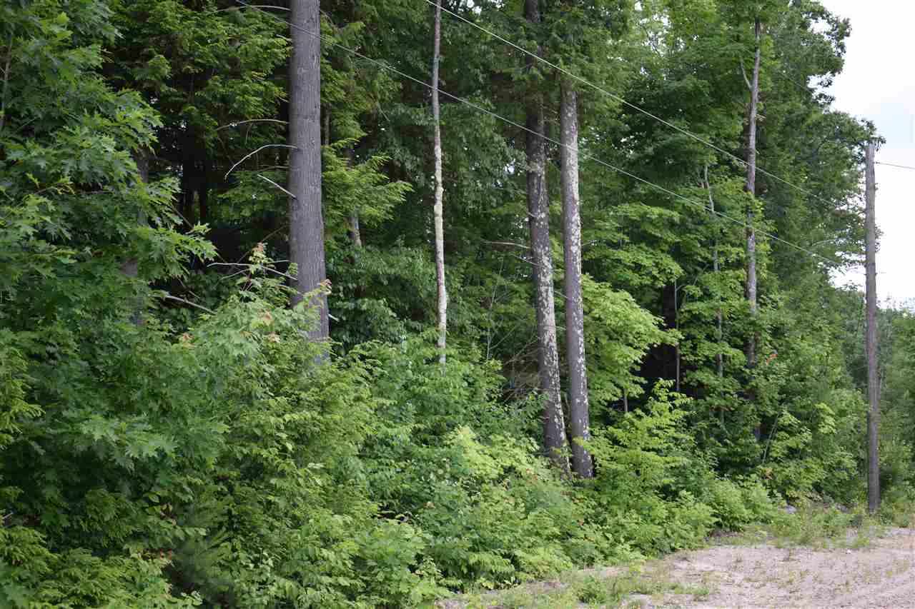 Sugar House Sugar House Rd Road Washington, NH 03280 - Photo 1 of 2