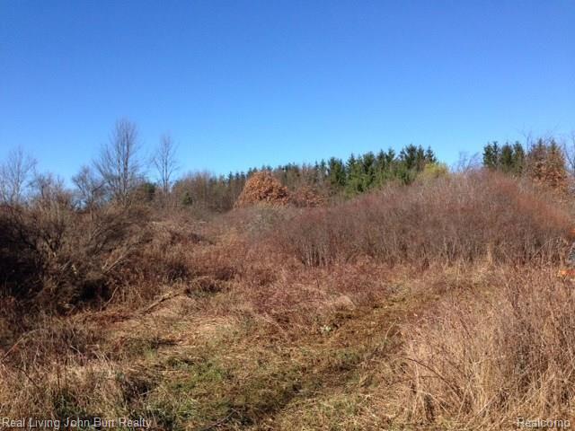 0 Sutton Road Dryden, MI 48455 - Photo 2 of 5