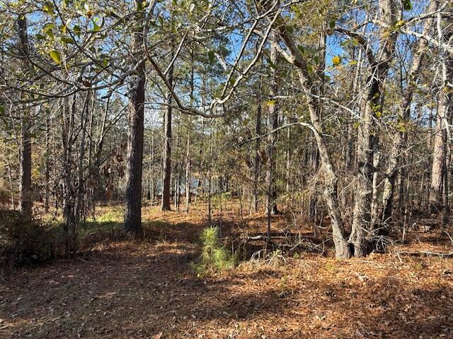 207 Old Ferry Road McCormick, SC 29835 - Photo 4 of 9 O F 2