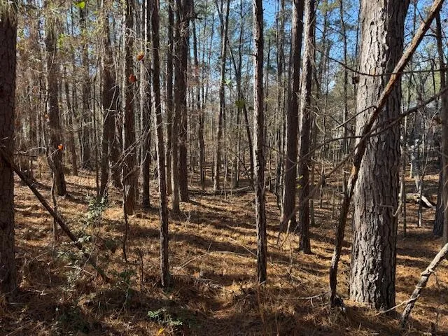 $149,000 | 207 Old Ferry Road, McCormick, SC 29835