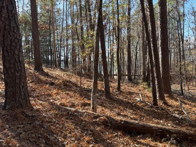 207 Old Ferry Road McCormick, SC 29835 - Photo 6 of 9 O F 4