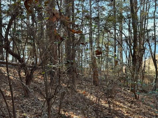 $149,000 | 207 Old Ferry Road, McCormick, SC 29835