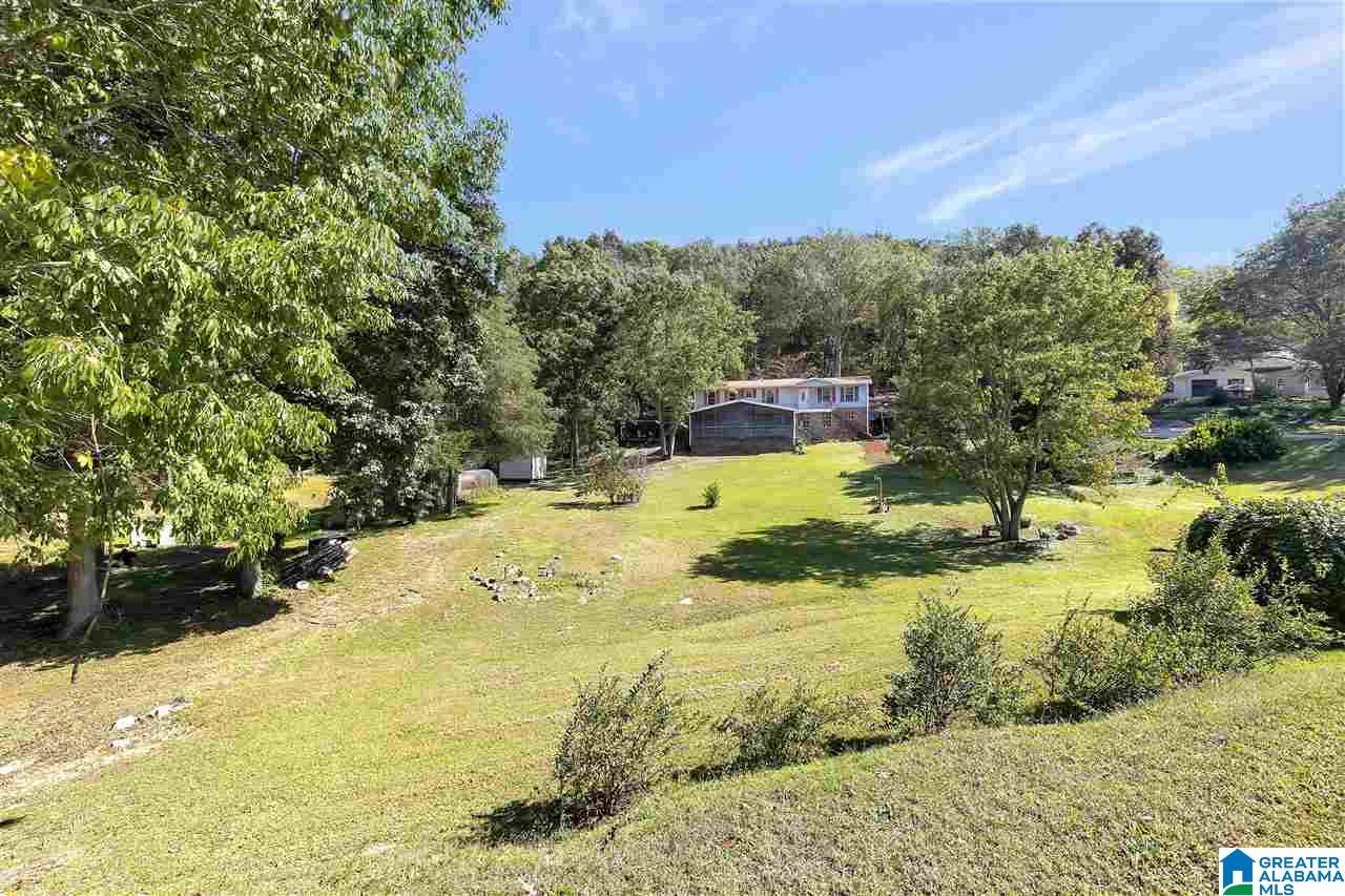 8097 McIntyre Road Trussville, AL 35173 - Photo 2 of 19
