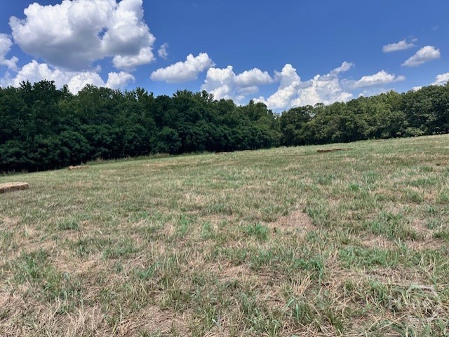 0 Sims Cross Road Stephens, GA 30667 - Photo 5 of 14