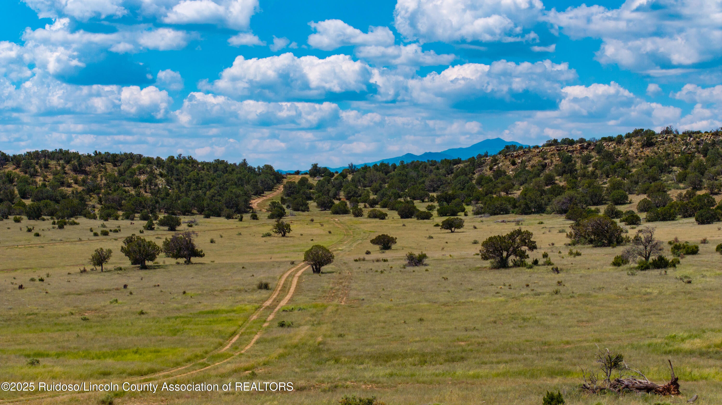 331 Pine Lodge Road Capitan, NM 88316 - Photo 136 of 156 Gallery Image 136
