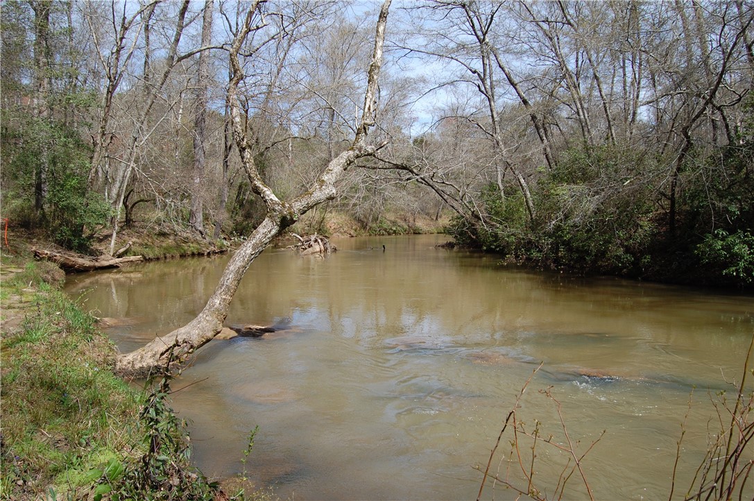 1621 Burns Bridge Road Anderson, SC 29625 - Photo 4 of 21 Have your coffee and listen to the water on your c