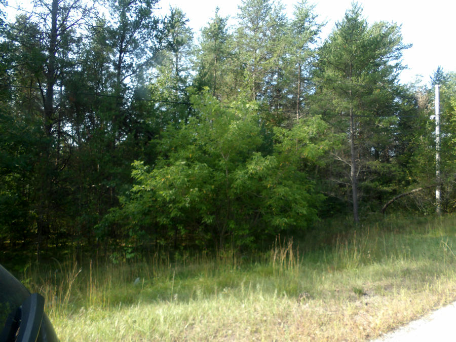 11 2nd Avenue Crivitz, WI 54114 - Photo 1 of 1 Legacy 1