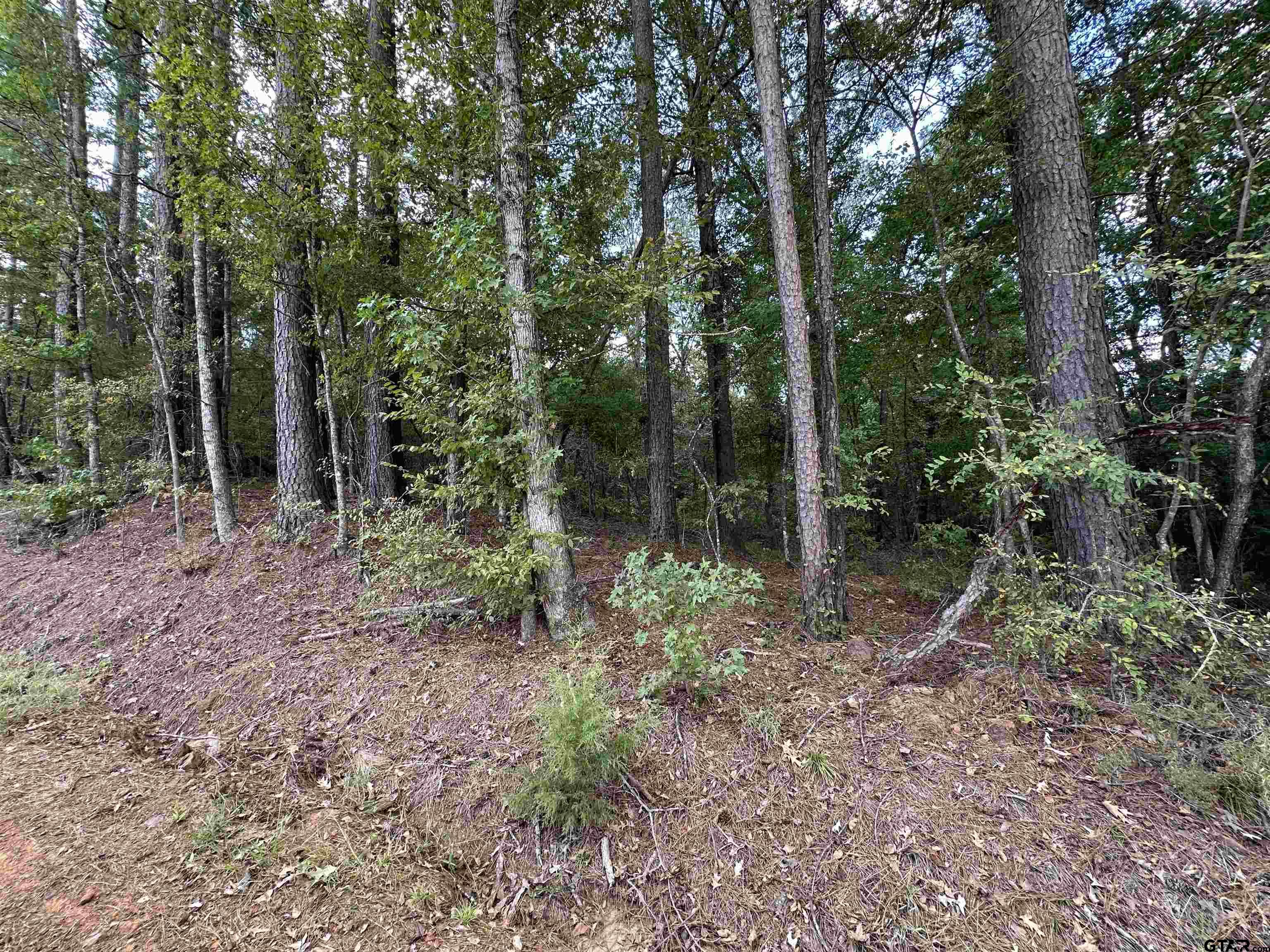 1318 Rusk Tx 75785 Rusk, TX 75785 - Photo 11 of 22 a backyard of a house with lots of green space