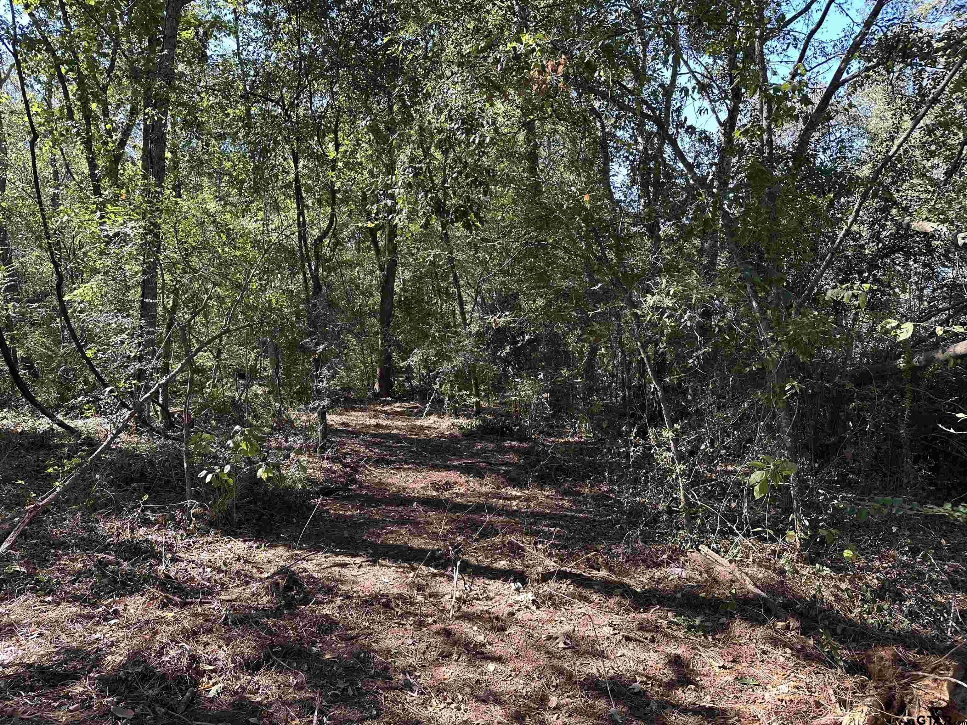 1318 Rusk Tx 75785 Rusk, TX 75785 - Photo 14 of 22 a view of a forest with trees