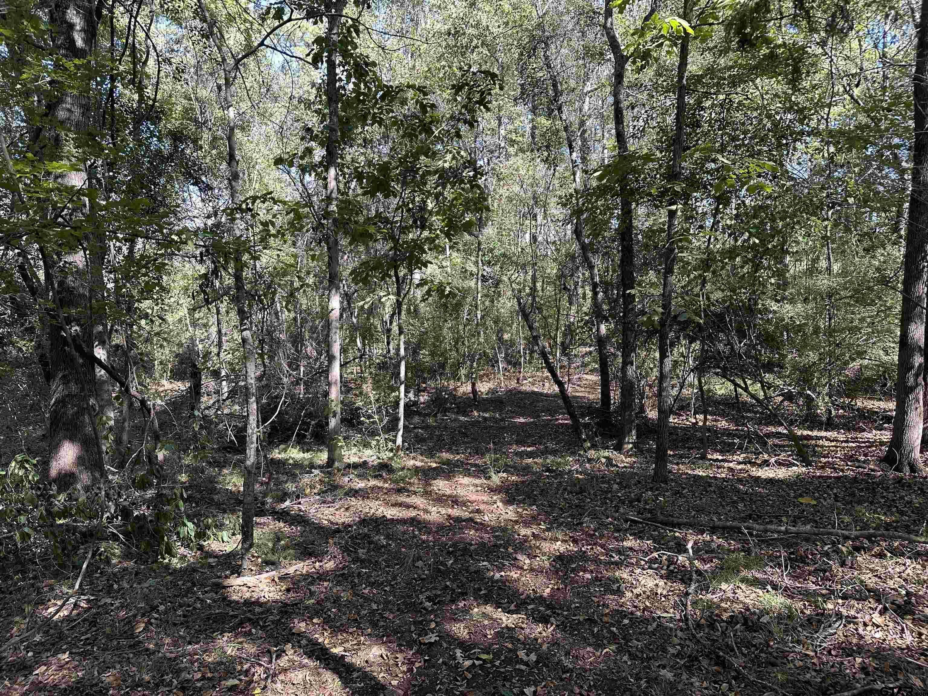 1318 Rusk Tx 75785 Rusk, TX 75785 - Photo 16 of 22 a view of a forest with trees