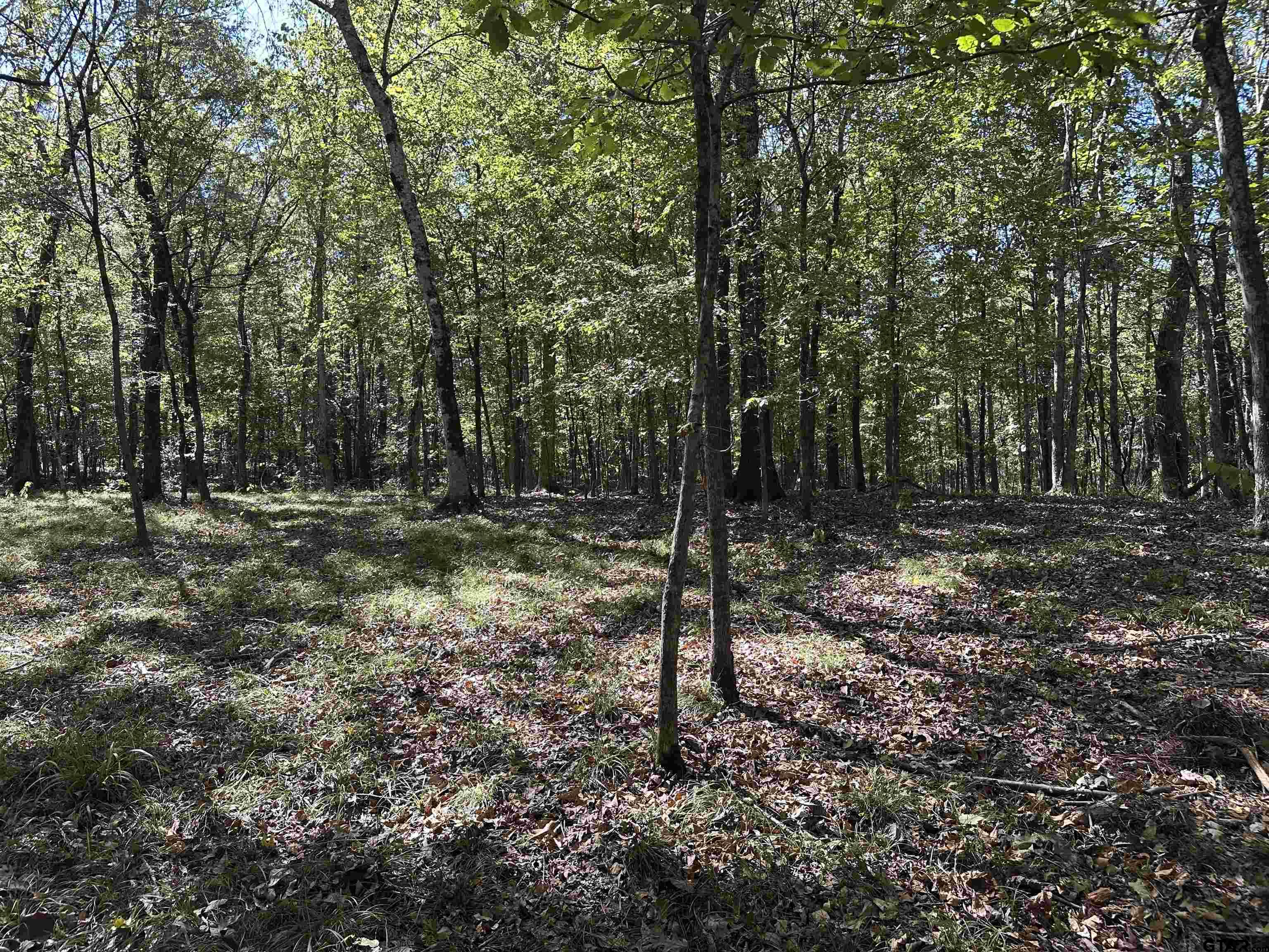 1318 Rusk Tx 75785 Rusk, TX 75785 - Photo 17 of 22 a view of outdoor space with trees
