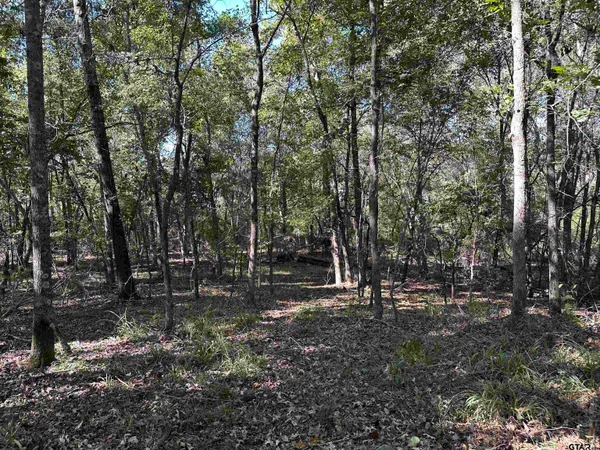 a view of outdoor space with lots of trees