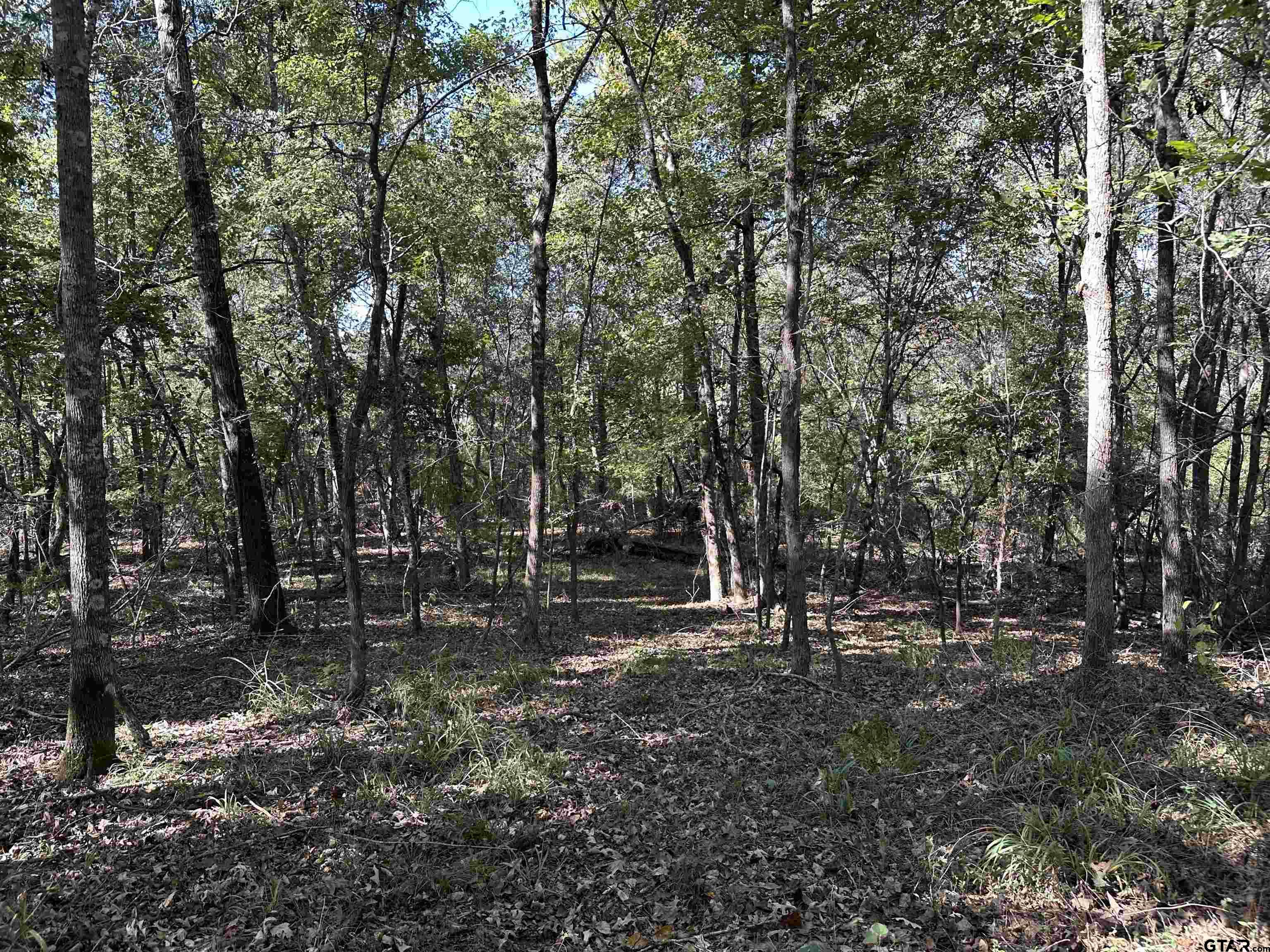 1318 Rusk Tx 75785 Rusk, TX 75785 - Photo 18 of 22 a view of outdoor space with lots of trees