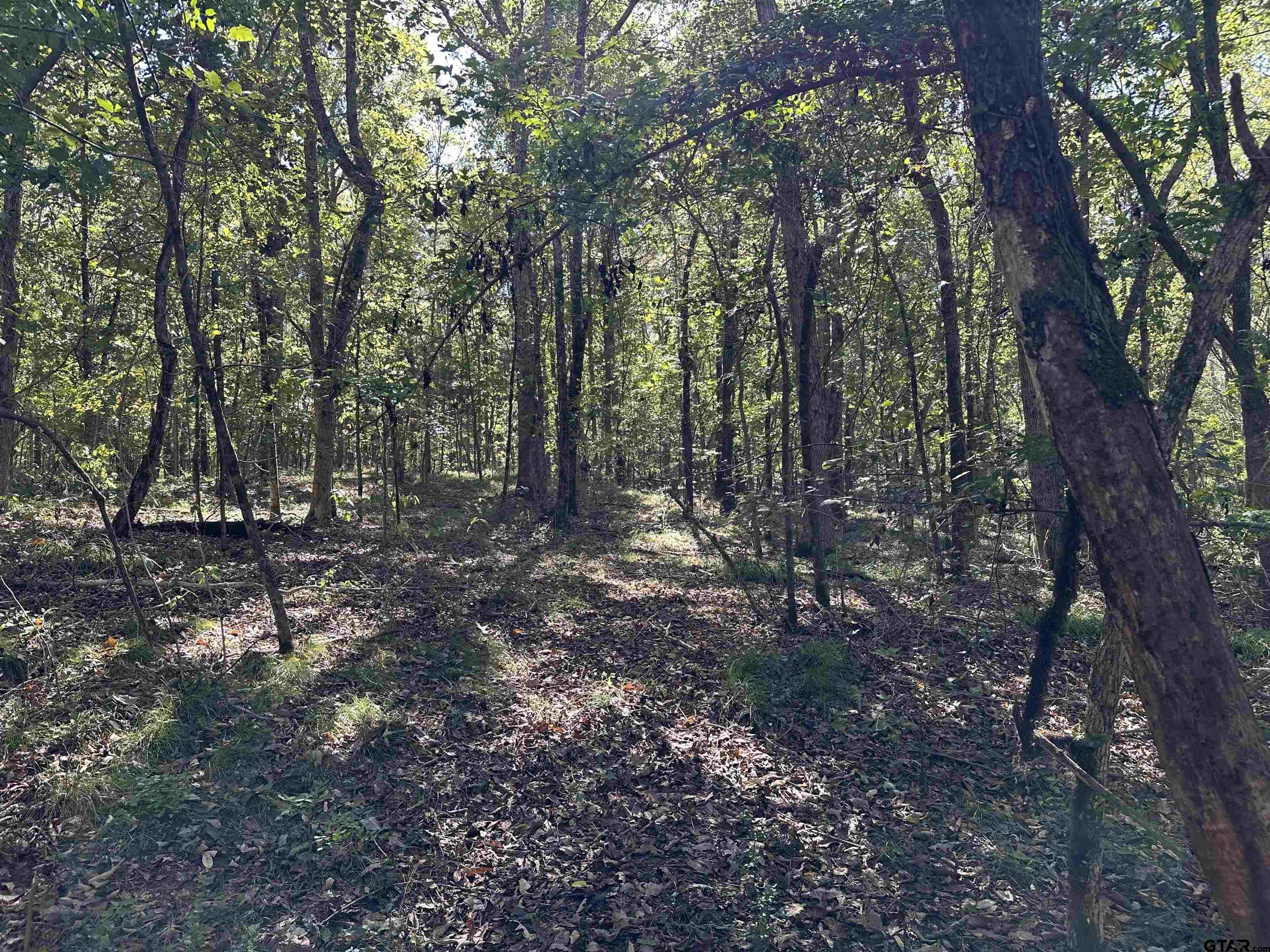1318 Rusk Tx 75785 Rusk, TX 75785 - Photo 19 of 22 a view of a forest with trees in the background