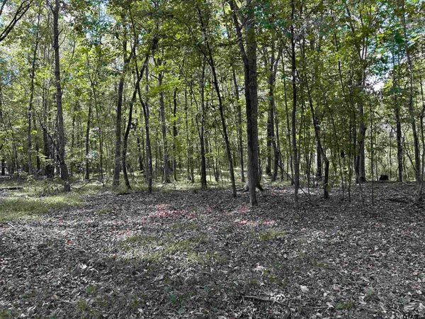 a view of outdoor space with green space