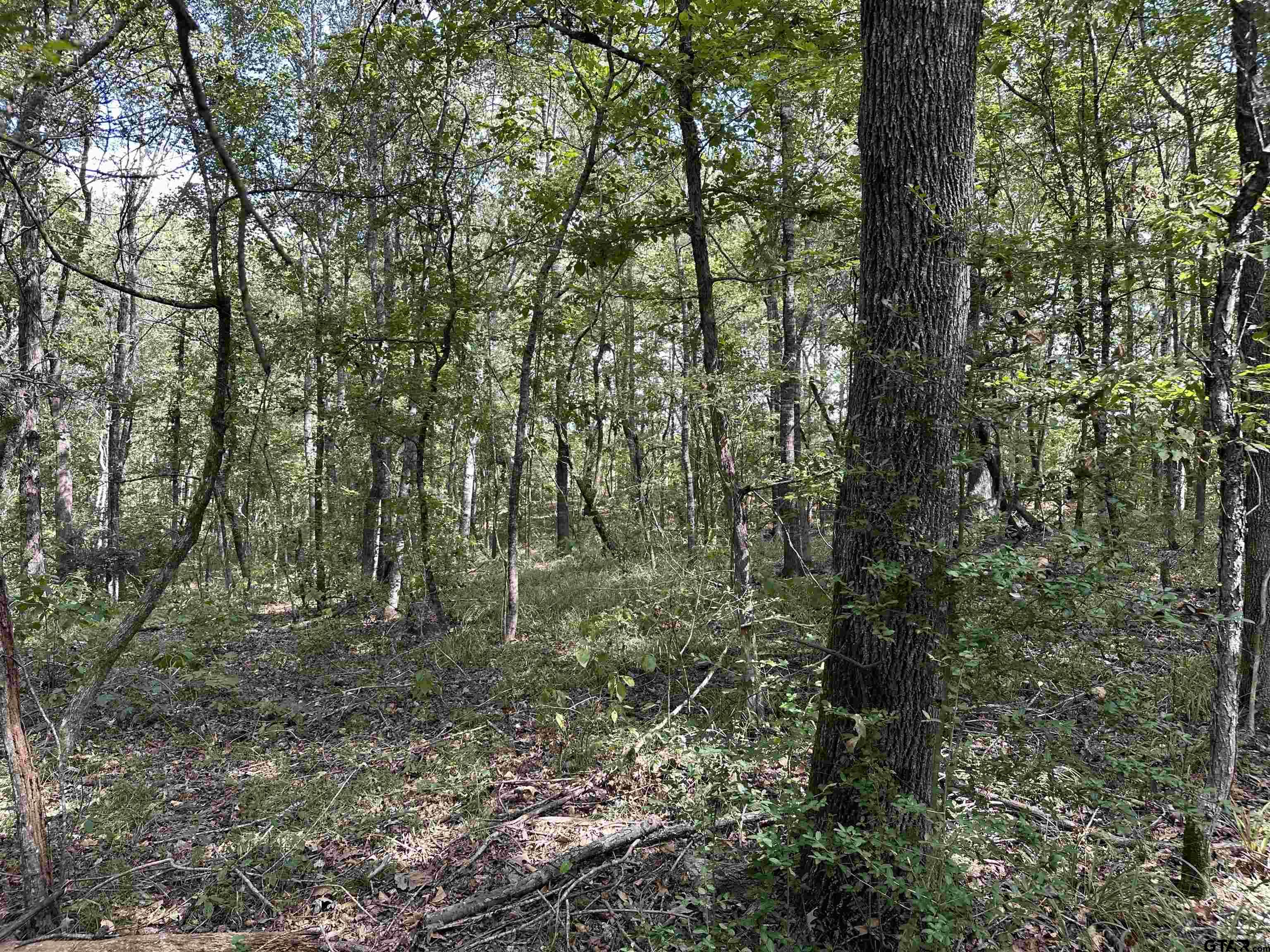 1318 Rusk Tx 75785 Rusk, TX 75785 - Photo 6 of 22 a view of forest