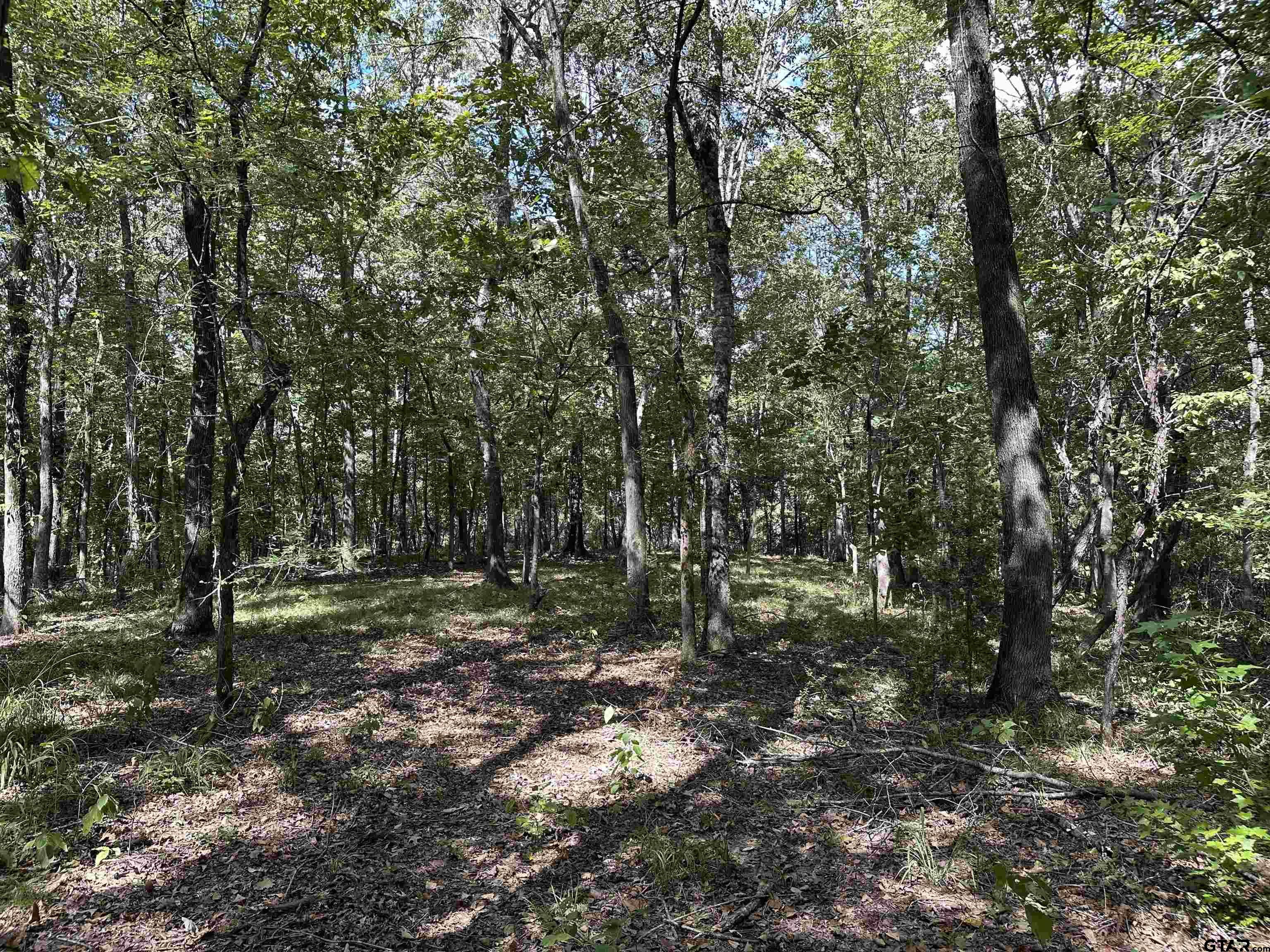 1318 Rusk Tx 75785 Rusk, TX 75785 - Photo 7 of 22 a view of a forest with trees