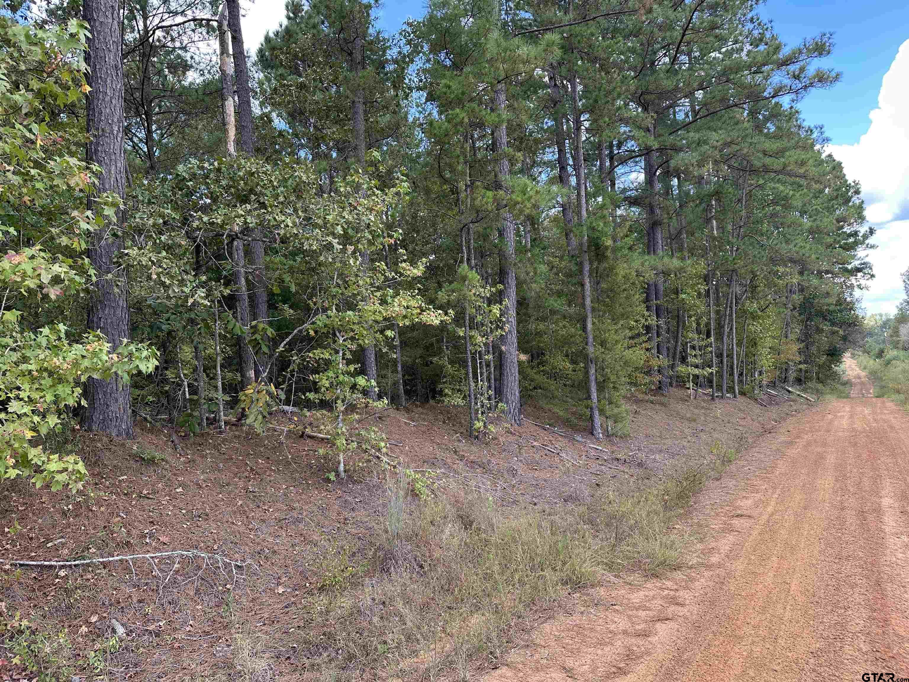 1318 Rusk Tx 75785 Rusk, TX 75785 - Photo 9 of 22 a view of a forest with trees in the background