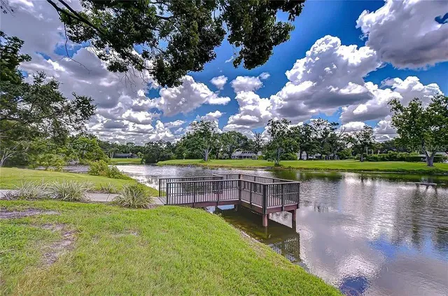 $540,000 | 13572 Avista Drive, Tampa, FL 33624