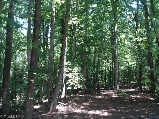 Lot 3 Styers Ferry Road Clemmons, NC 27012 - Photo 1 of 5 Exterior Front.