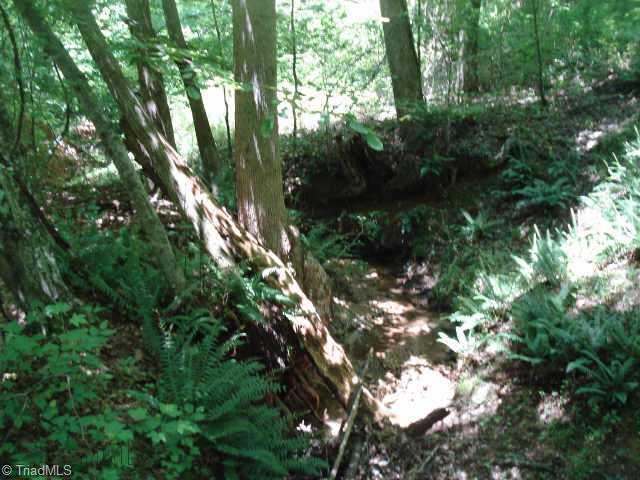 Lot 3 Styers Ferry Road Clemmons, NC 27012 - Photo 4 of 5 Other.