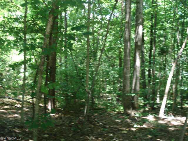 Lot 3 Styers Ferry Road Clemmons, NC 27012 - Photo 5 of 5 Other.