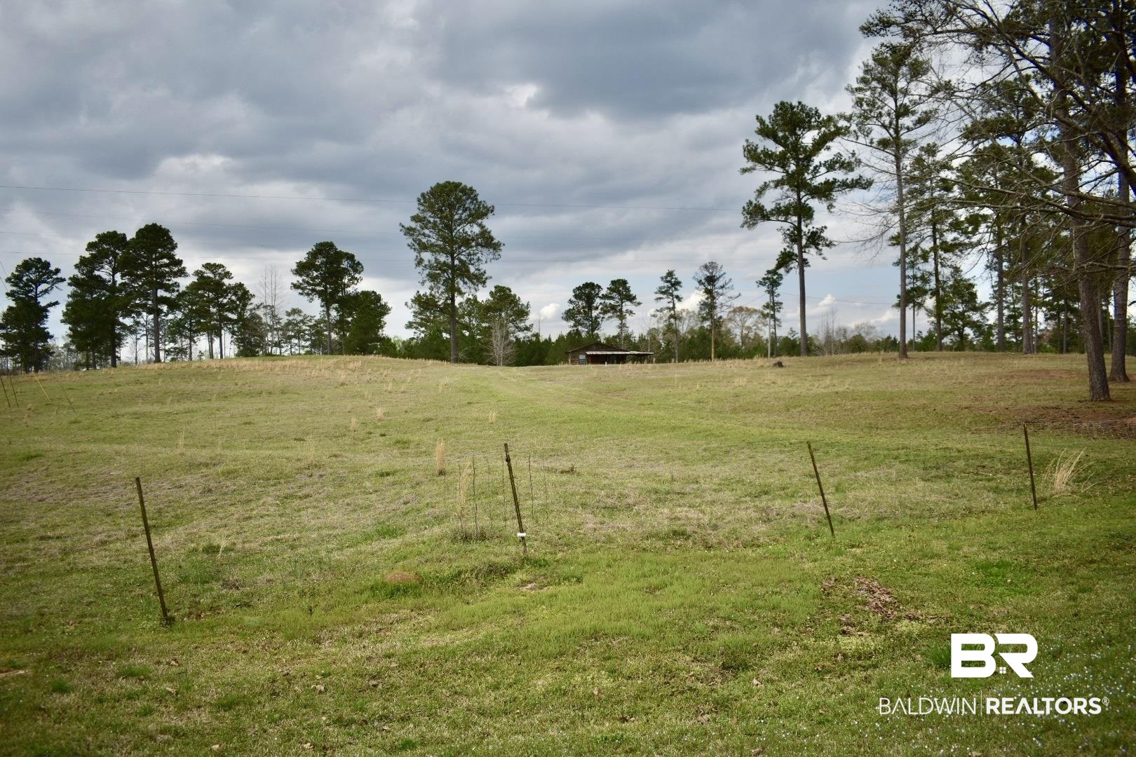14320 Nicholsville Road Thomasville, AL 36784 - Photo 7 of 14
