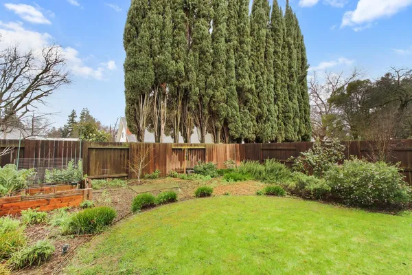 a view of a backyard