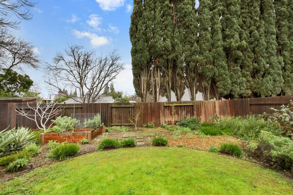 a view of a house with a yard and plants