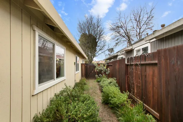 a backyard of a house with plants and tree