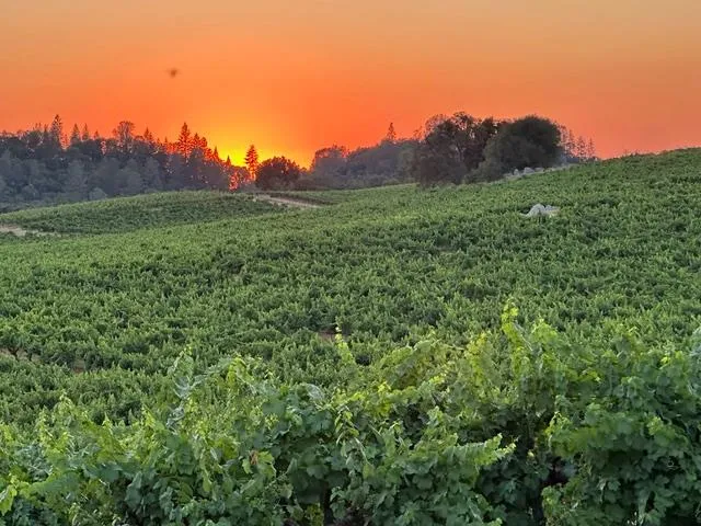 a view of ocean view