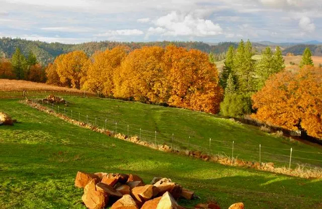 $1,495,000 | 12551 Steiner Road, Plymouth, CA 95669