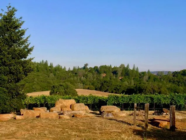 a view of a lake with houses in the background