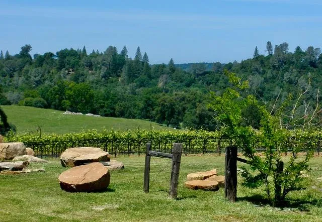 a view of an ocean and a mountain