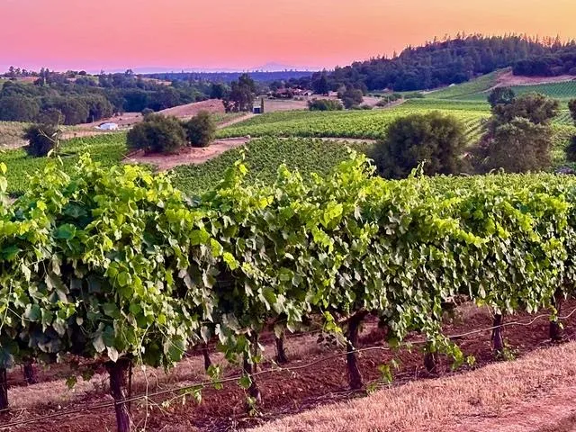 a view of a sink and yard in the back
