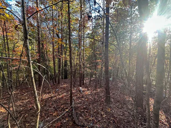$25,000 | 0 Dones Drive, Murphy, NC 28906