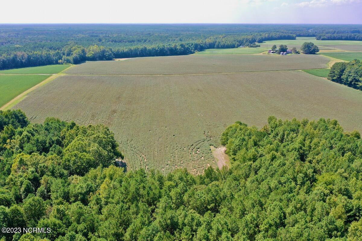 0 Hargraves Road Jackson, NC 27845 - Photo 2 of 50 1