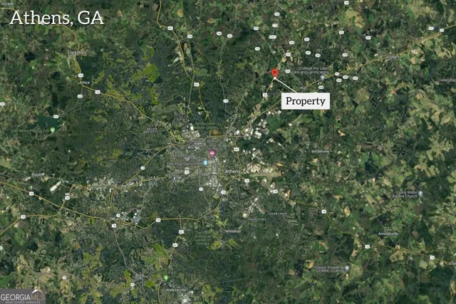 a sign that is sitting in front of a tree