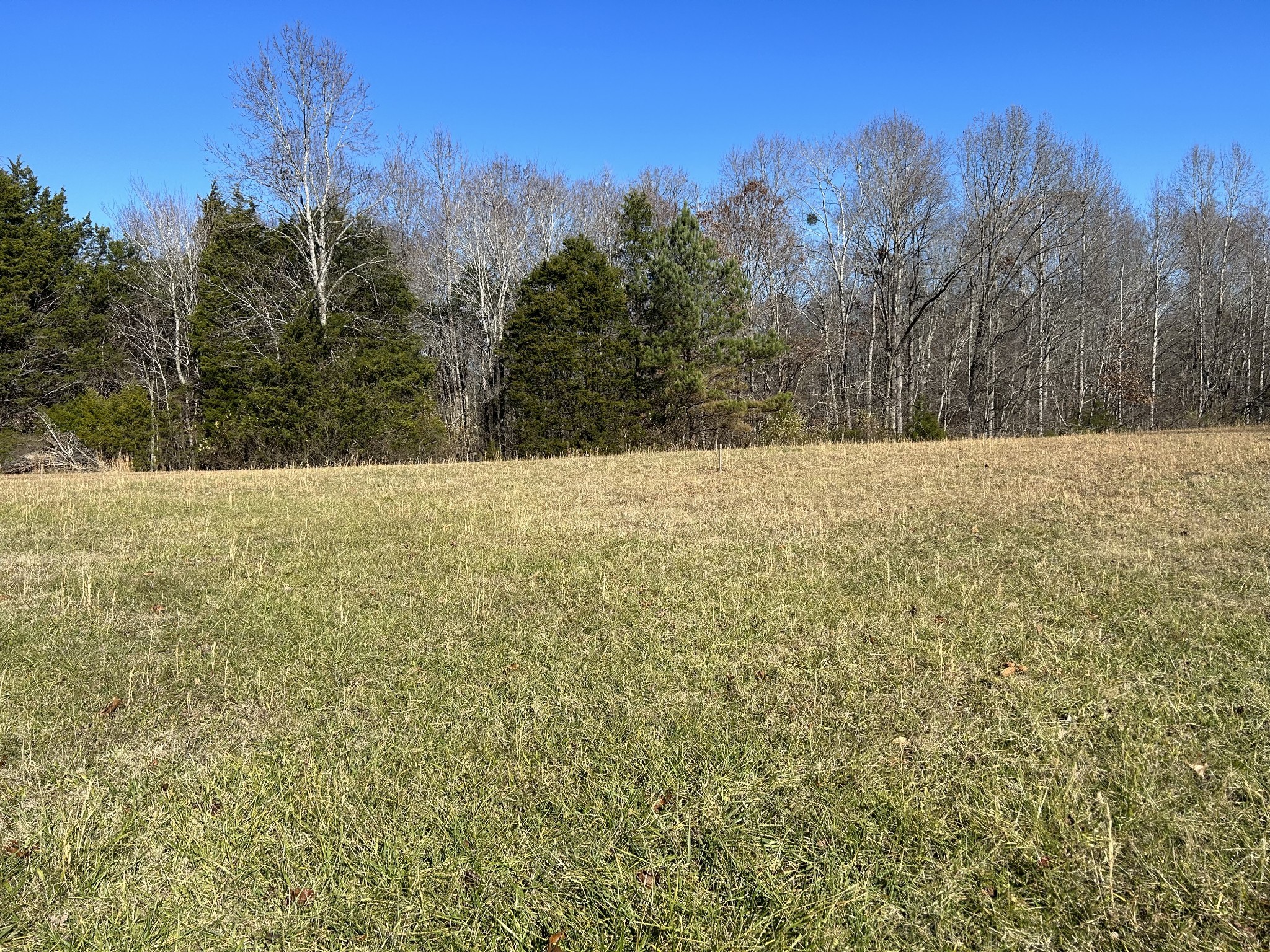 1 Ghea Road Normandy, TN 37360 - Photo 3 of 8 Gallery Image 3