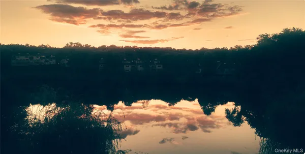 a view of a yard next to a yard