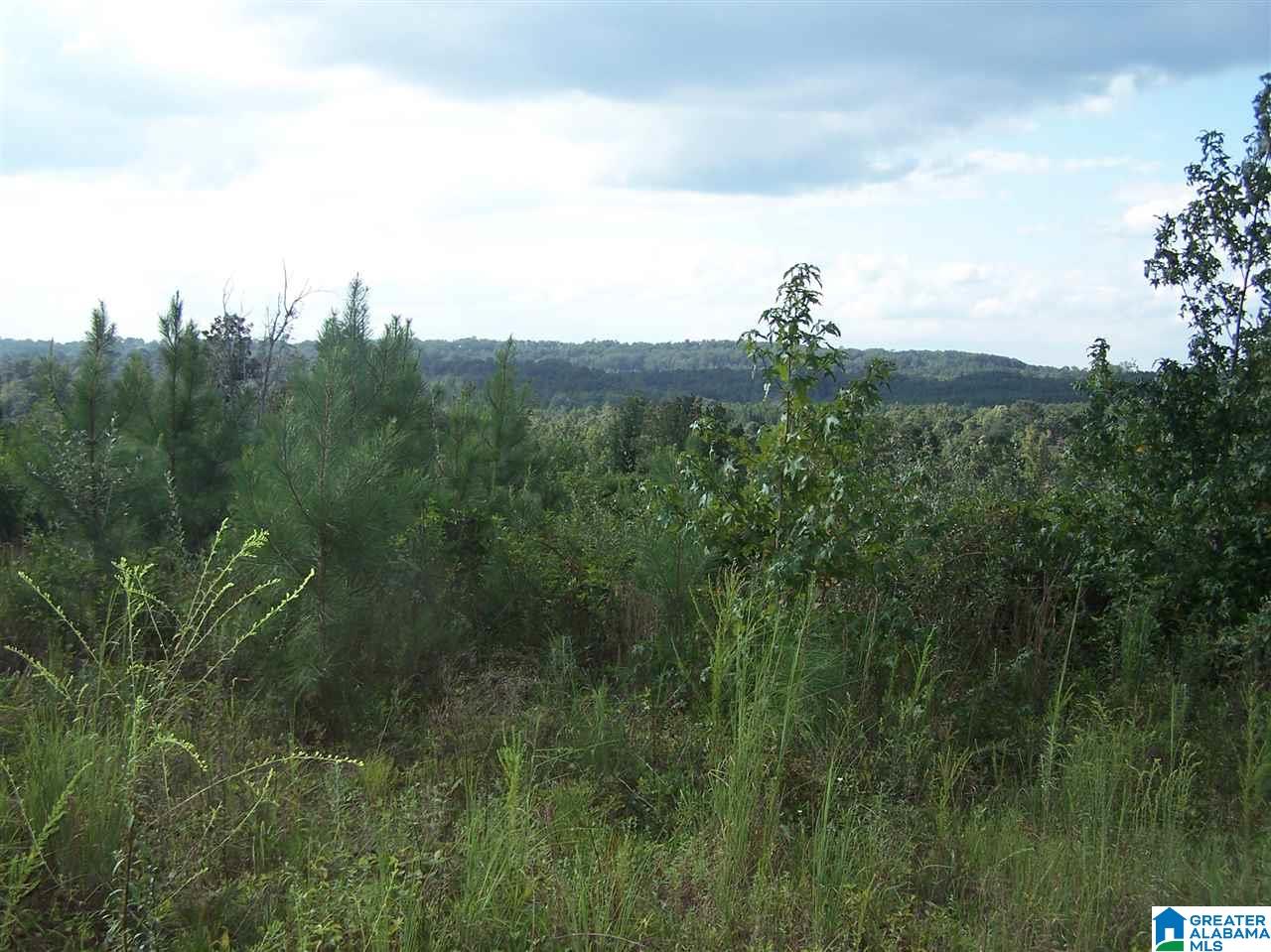 0 Jackson Trail, Unit 140 ACRES Altoona, AL 35952 - Photo 29 of 50