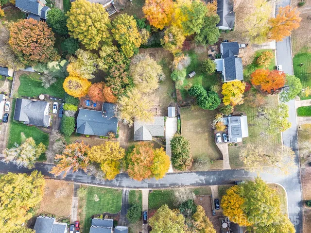 a picture of flowers