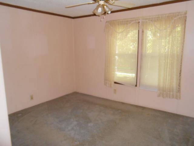 313 Bill Cobb Road Smithville, TN 37166 - Photo 11 of 14 3rd bedroom