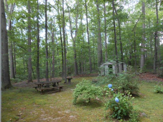 313 Bill Cobb Road Smithville, TN 37166 - Photo 4 of 14