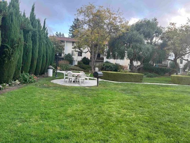 a view of a park with large trees
