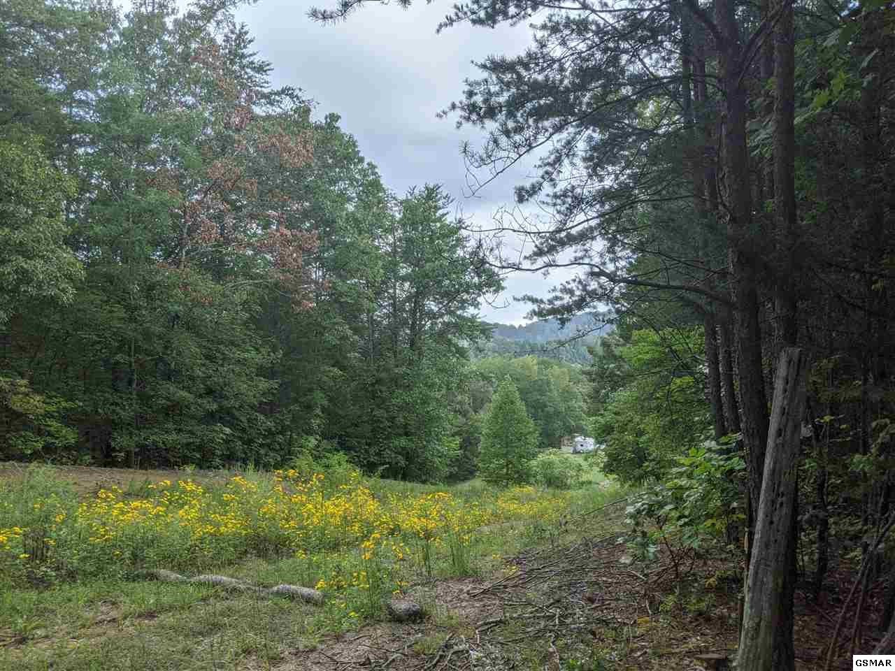 0 Blue Springs Road Strawberry Plains, TN 37871 - Photo 13 of 31 Gallery Image 13