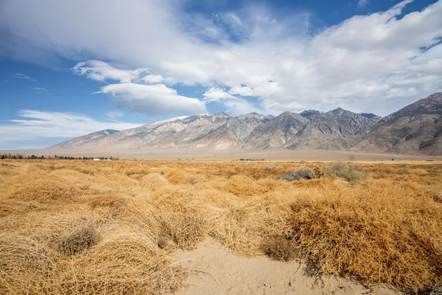 a view of ocean view with beach