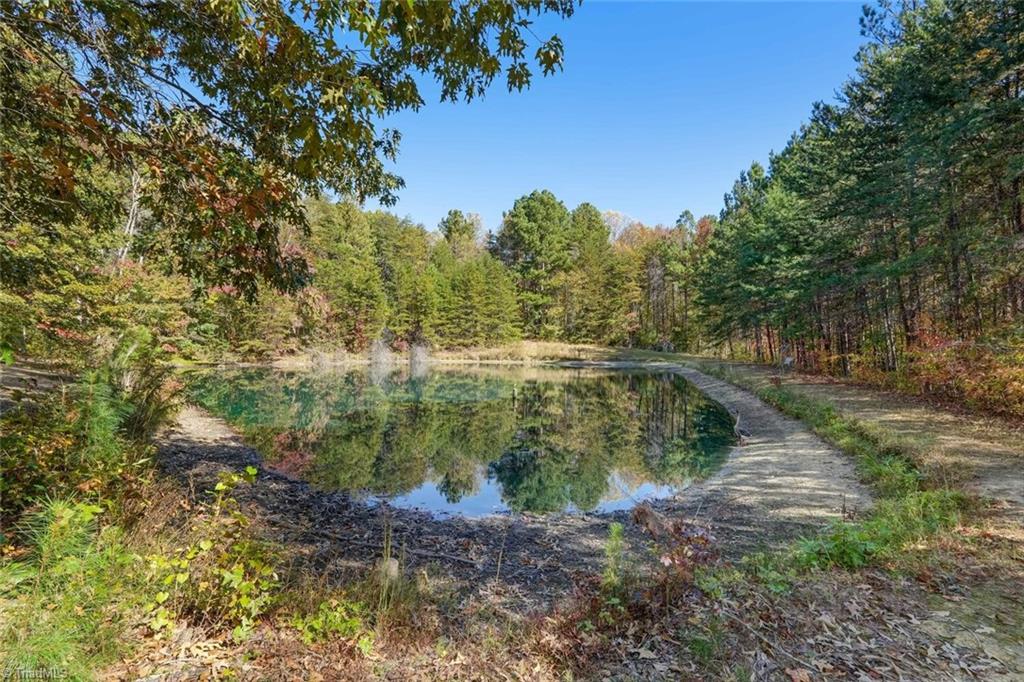 383 Crossover Road Reidsville, NC 27320 - Photo 13 of 49
